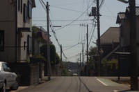 DSC03530.jpg