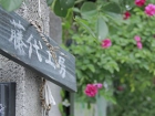 _MG_2376.jpg